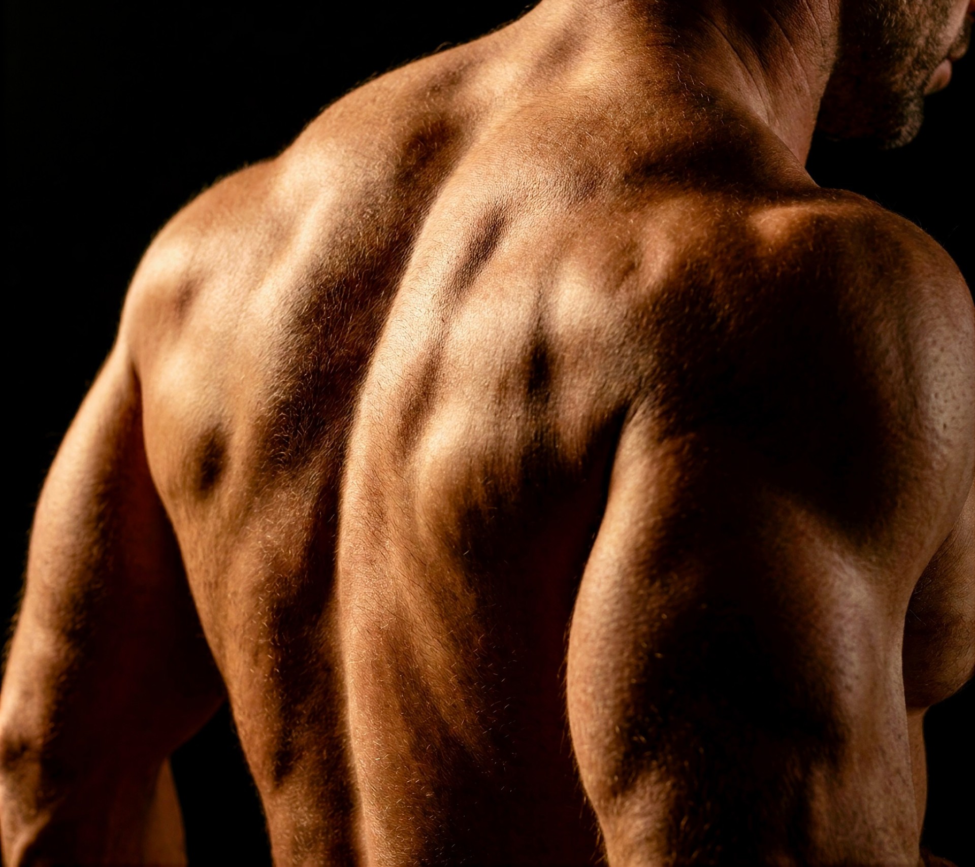 Athlete back musculature